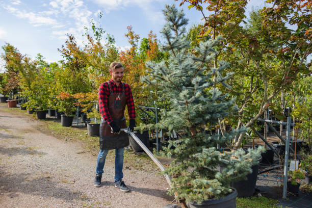 Professional Tree Removal and Landscaping Services in Malaga, NJ